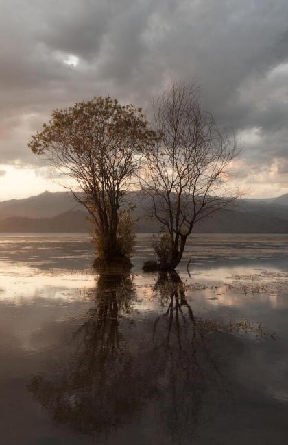 Большой Алтайский джип-тур Большой Алтайский джип-тур