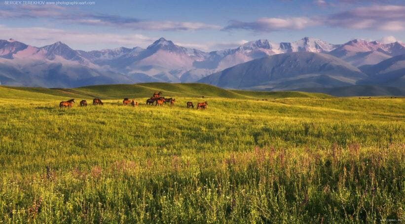 Природа Казахстана